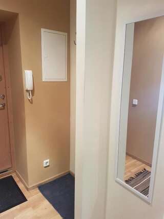 Апартаменты Giedrės Saulėtekio apartamentai Каунас Апартаменты-27