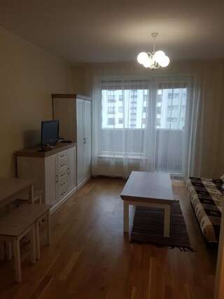 Апартаменты Giedrės Saulėtekio apartamentai Каунас Апартаменты-35