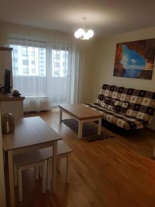 Апартаменты Giedrės Saulėtekio apartamentai Каунас Апартаменты-36