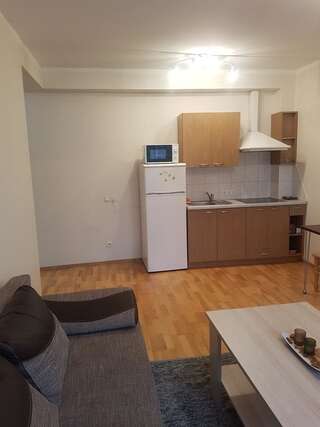 Апартаменты Giedrės Saulėtekio apartamentai Каунас Апартаменты-6